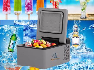 Tủ lạnh mini Apicool C9 9 lít | Giá tốt