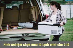 Kinh nghiệm chọn mua tủ lạnh mini cho ô tô