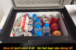 Mua tủ lạnh mini ô tô loại nào dùng tốt?